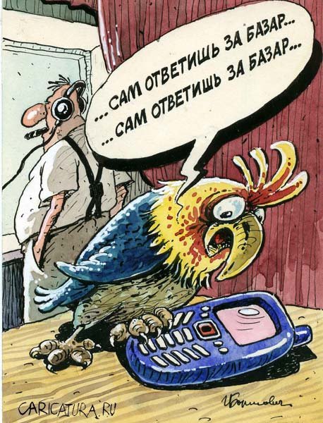 Анекдоты про попугаев для детей