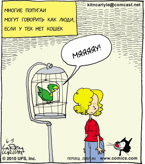 Анекдот про попугая