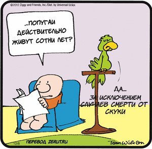 Три попугая карикатура