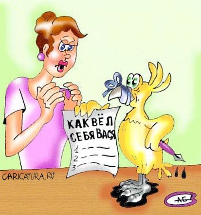 Стукач прикол