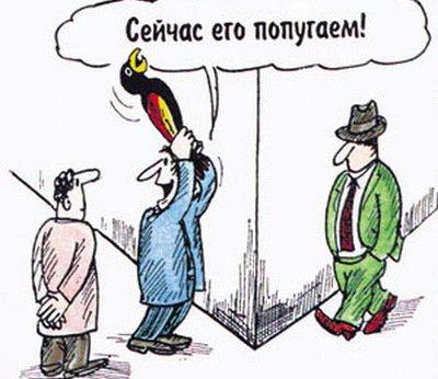 Три попугая карикатура