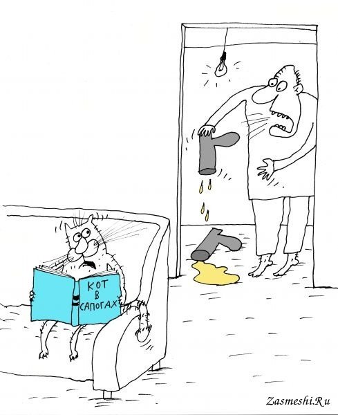 Коты карикатуры