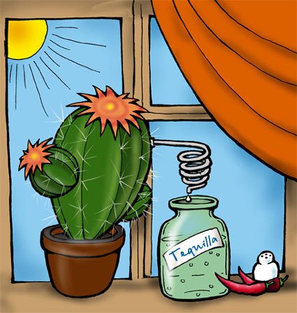 Кактус карикатура