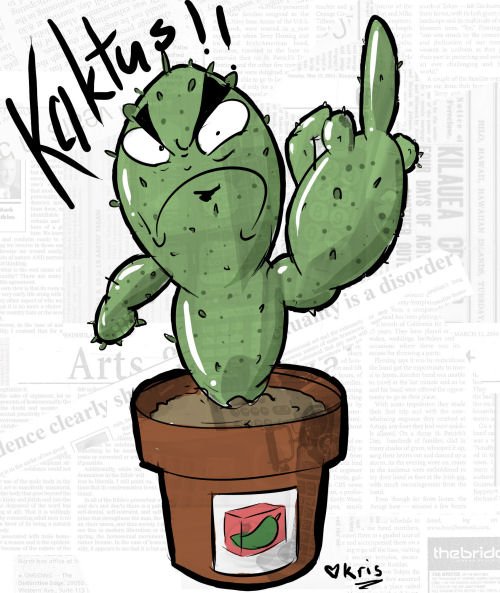 Мемы про Кактус