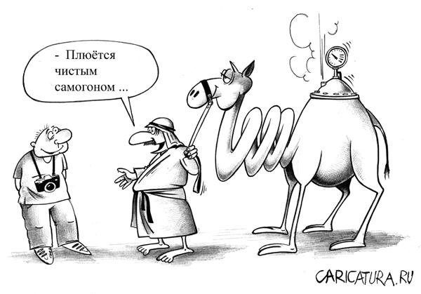 Самогон карикатура