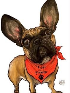 Шаржи насыранцузского бульдога