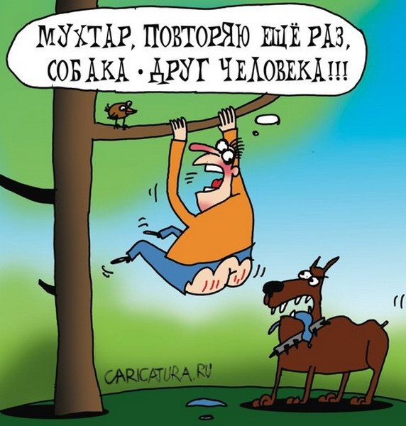 Карикатуры на зверей