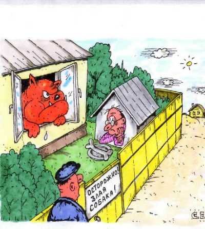 Злая собака в будке