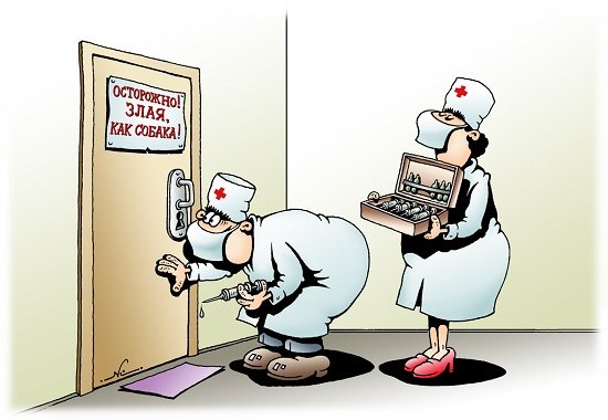 Анекдоты про собак