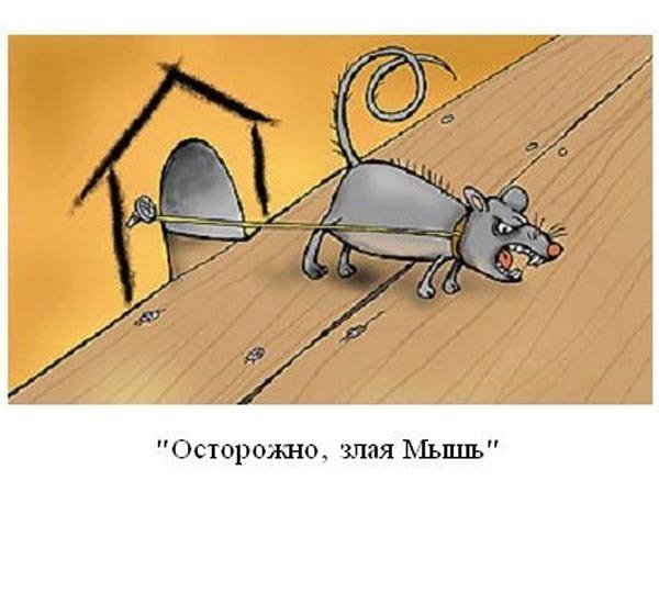 Шутки про мышку