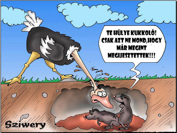 Приколы про страусов