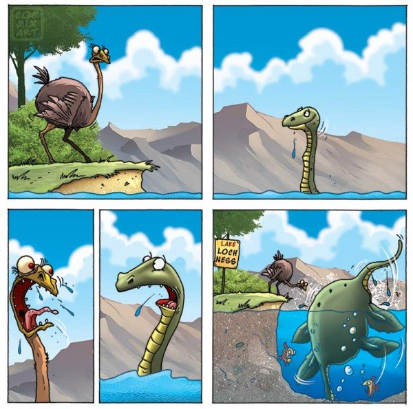 Страус юмор