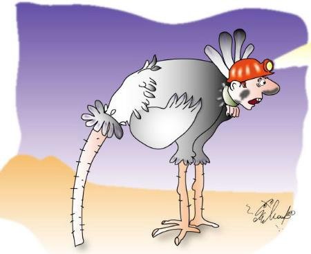 Комикс про страуса