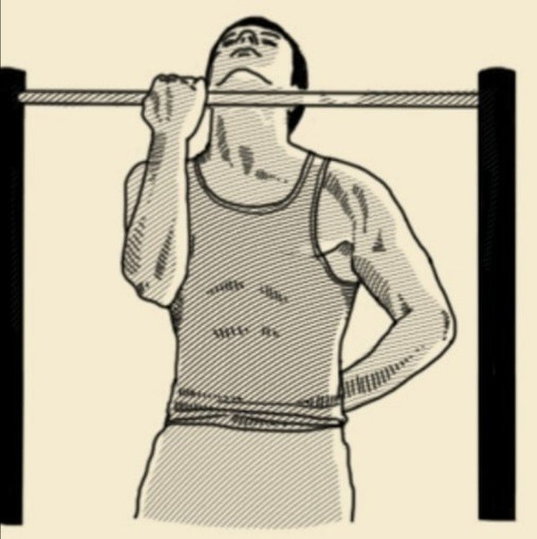 Плакат подтягивания