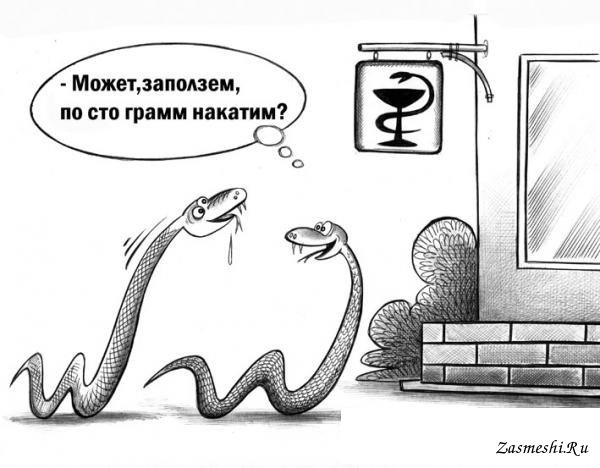 Шутки про змею