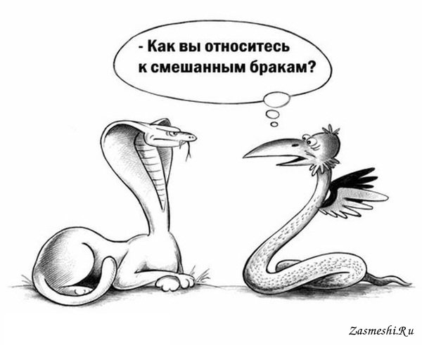 Карикатуры про змей