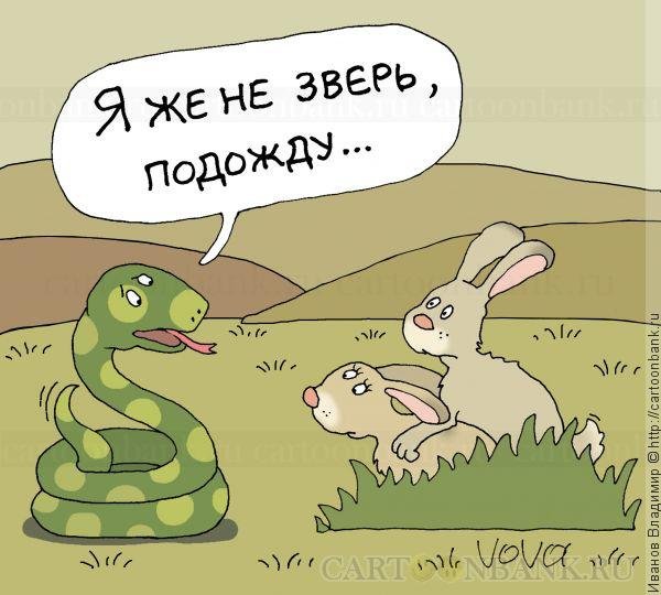 Анекдоты про животных в картинках