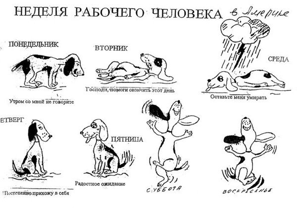 Понедельник приколы