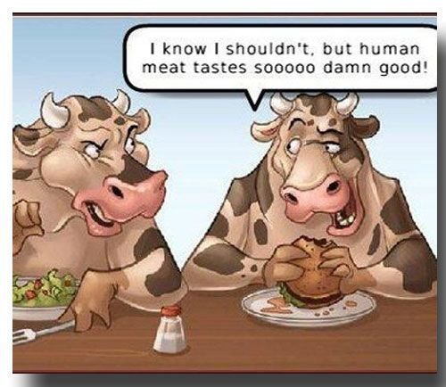 Веганы приколы карикатуры