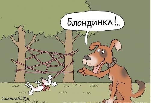 Карикатуры про собак смешные