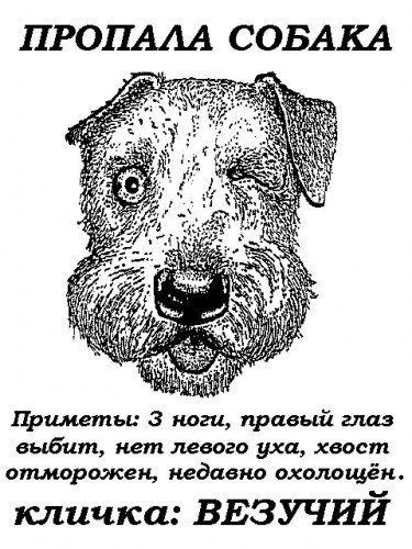 Анекдоты про собак