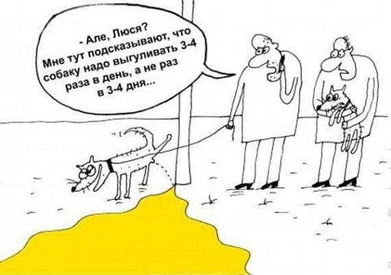 Собака карикатура