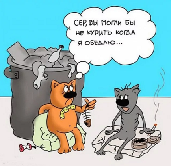 Коты карикатуры
