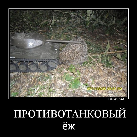 Противотанковые Ежи юмор