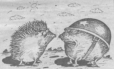 Ежик в каске