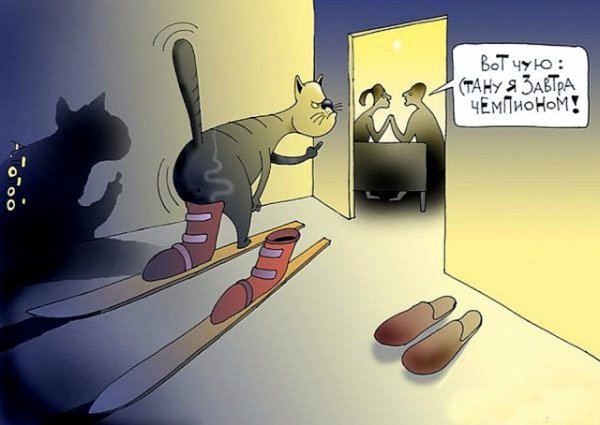 Кастрация кота карикатура