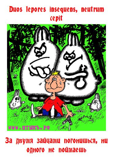 За двумя зайцами погонишься