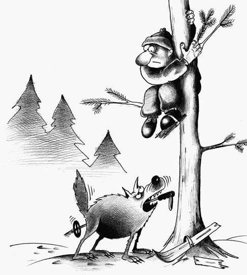 Карикатуры про Волков