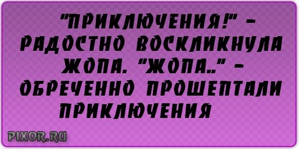 Жопка вперед за приключениями