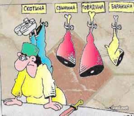 Шутки про скотину