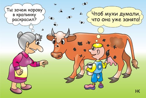 Корова и молоко с юмором