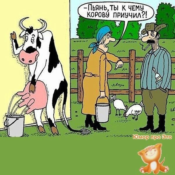 Клавка думай о работе