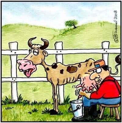 Bull in a China shop