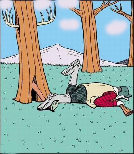 Карикатуры про охоту