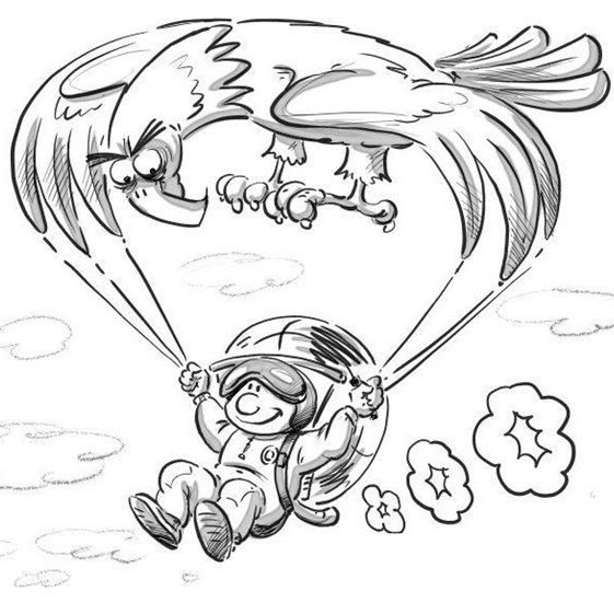 С днём рождения парашютисту