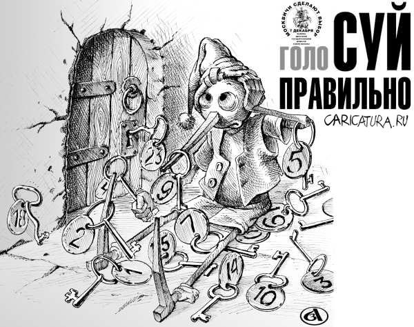 Не голосуй карикатура