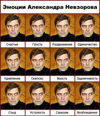 Невзоров карикатура