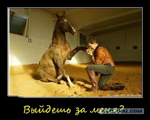 Невзоров карикатура