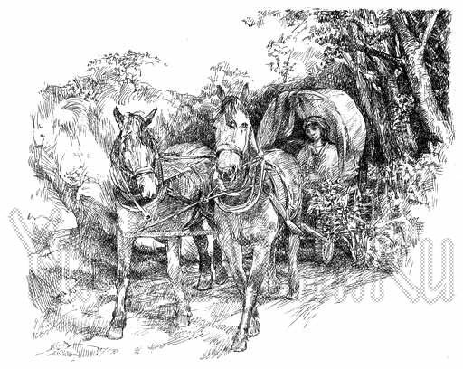 Стёб над портретами в ВК