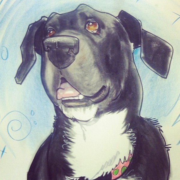 Собака карикатура