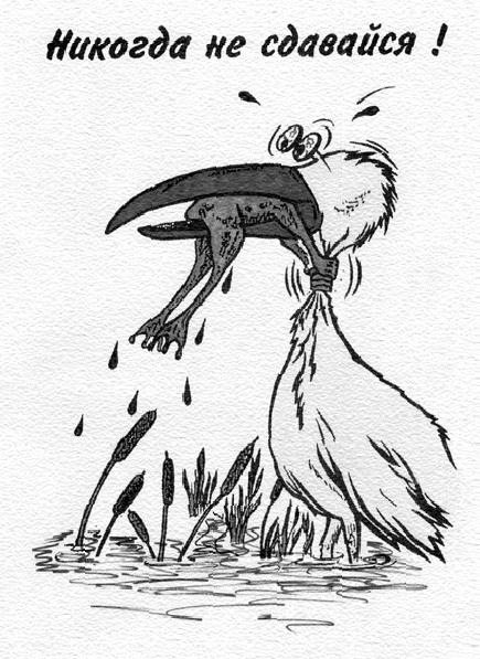 Карикатура не сдавайся