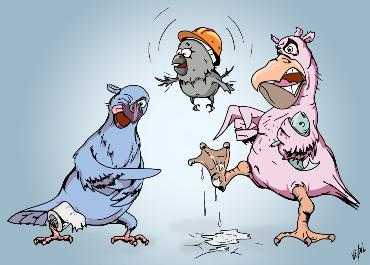 Юмористический эффект. Карикатуры про птиц. Птичка карикатура. Шаржи птиц. Птицы карикатуры смешные.