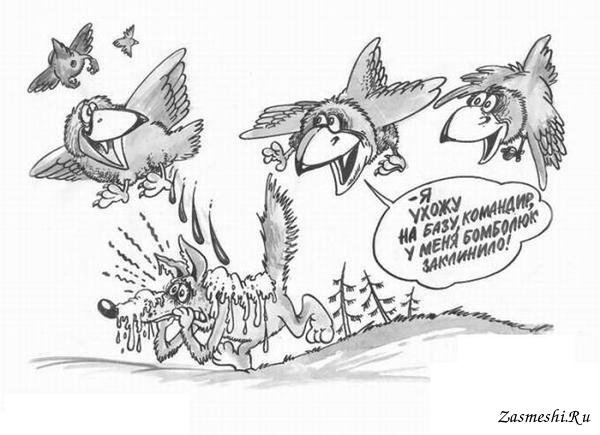 Карикатуры про птиц