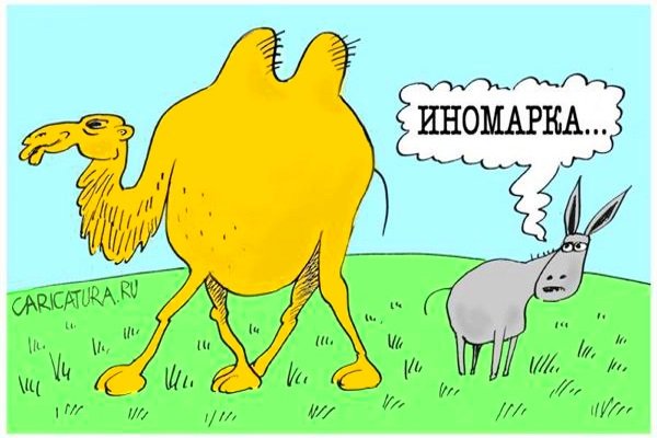 Ишак карикатура