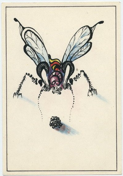 Муха карикатура