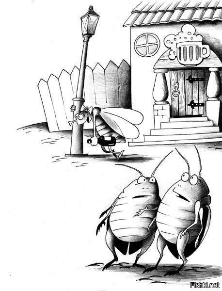 Муха карикатура